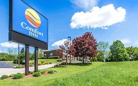 Comfort Inn